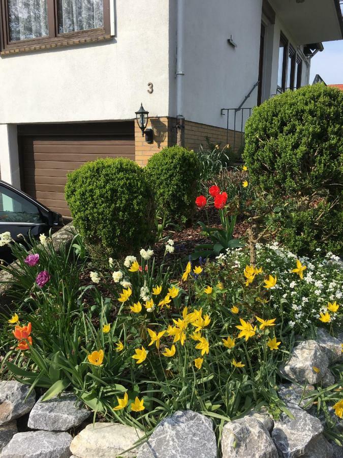 Ferienwohnung Dettum エクステリア 写真